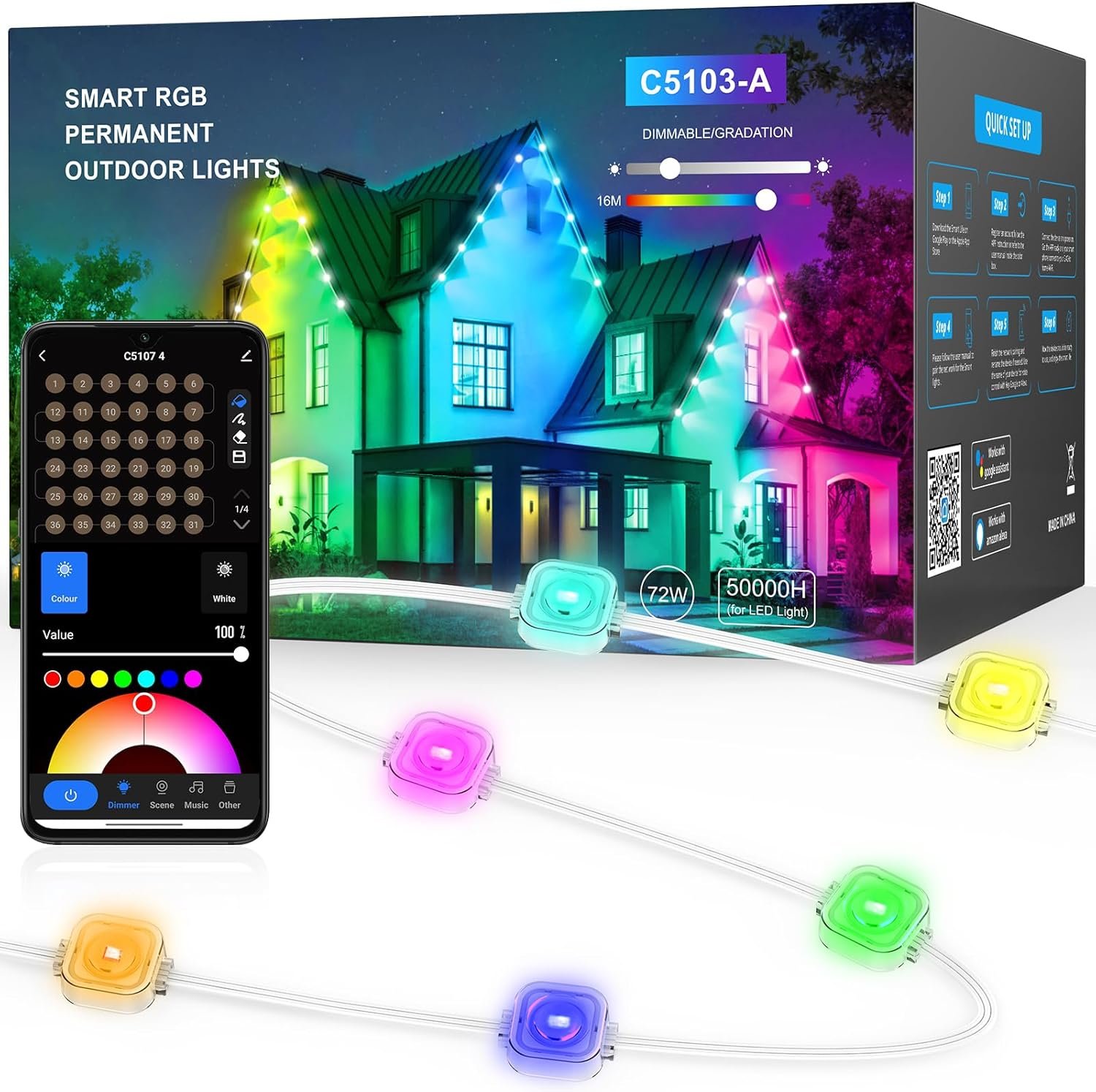 Permanent Outdoor Lights